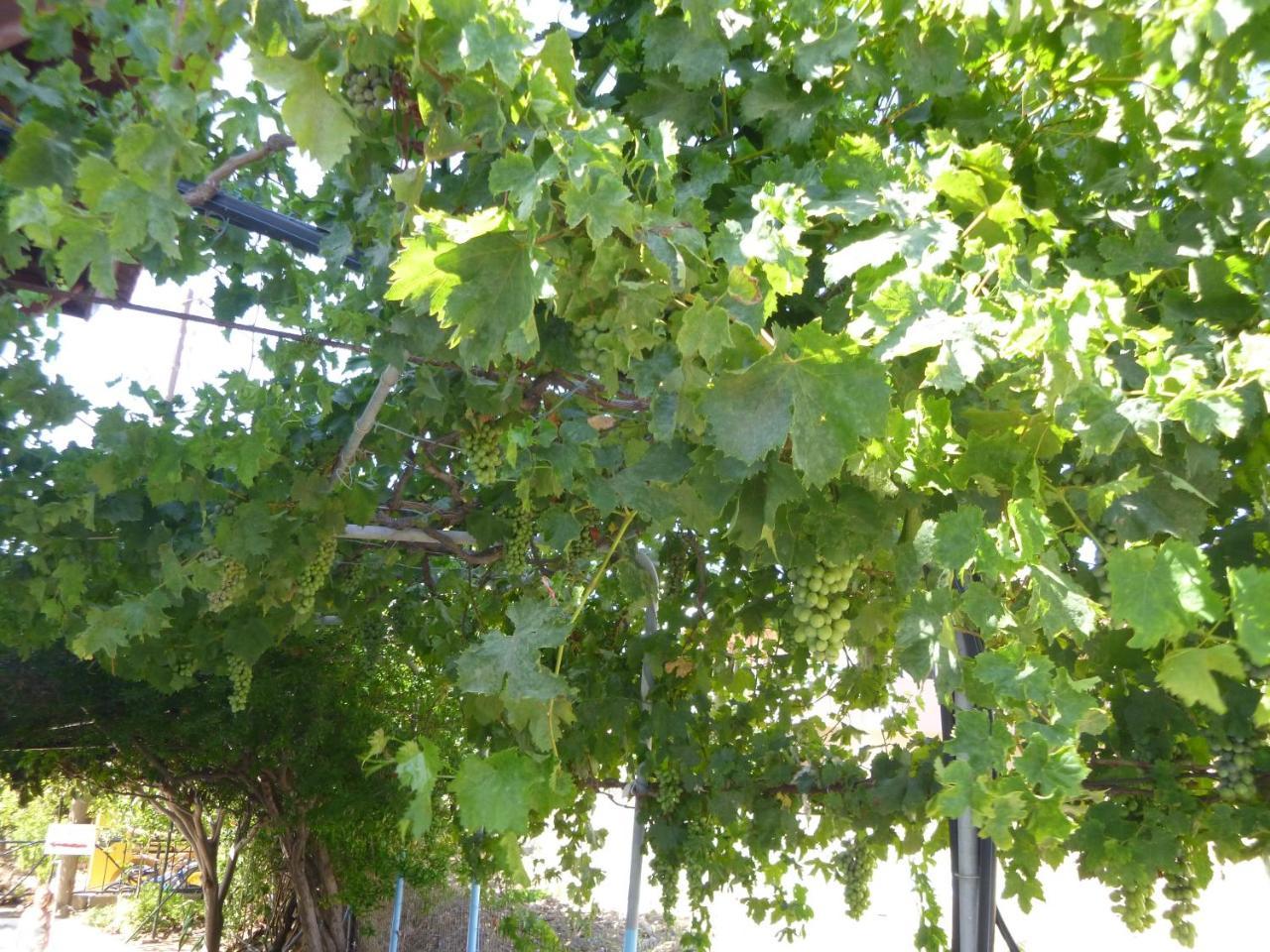 Stavros Apartments Ísztro Kültér fotó